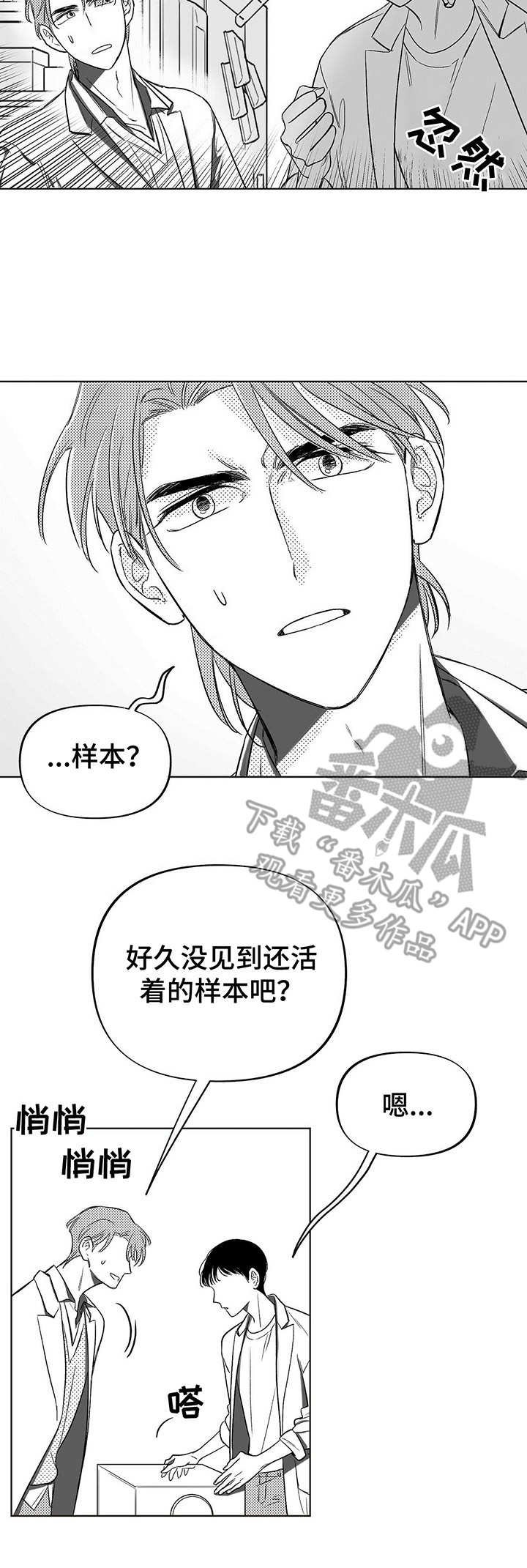 第4章：昆虫