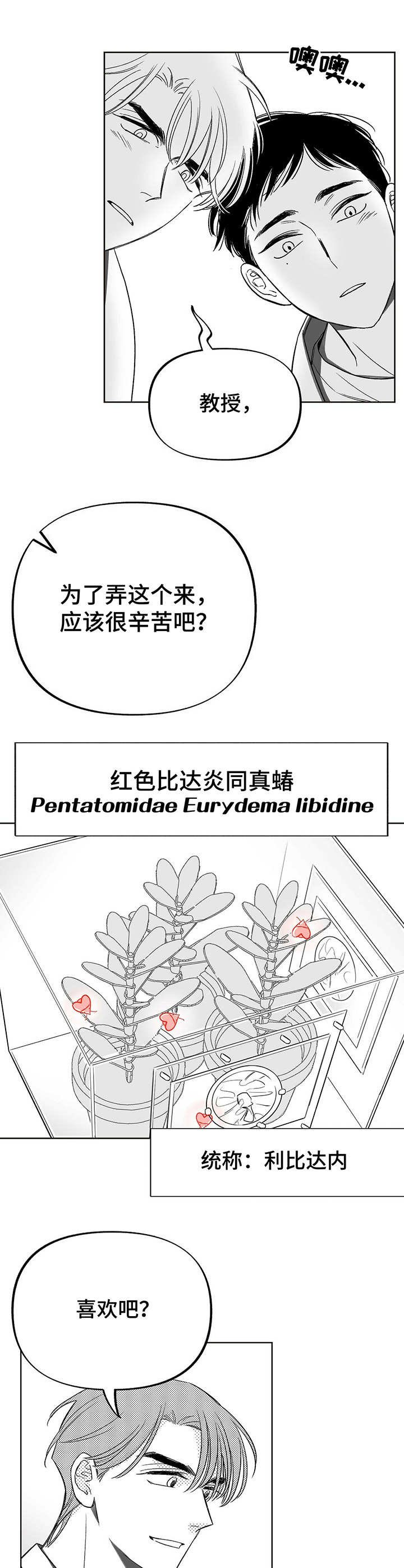 第4章：昆虫