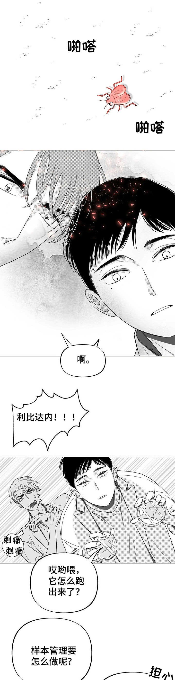第4章：昆虫