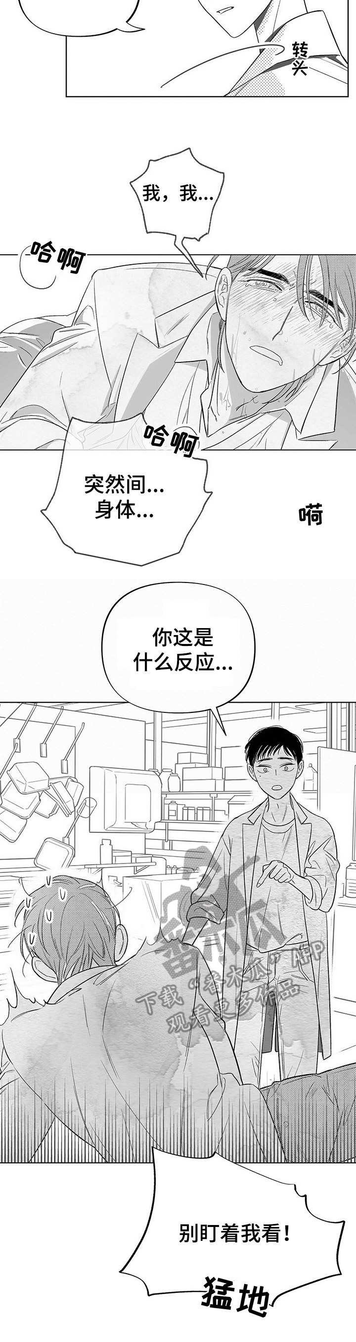 第4章：昆虫