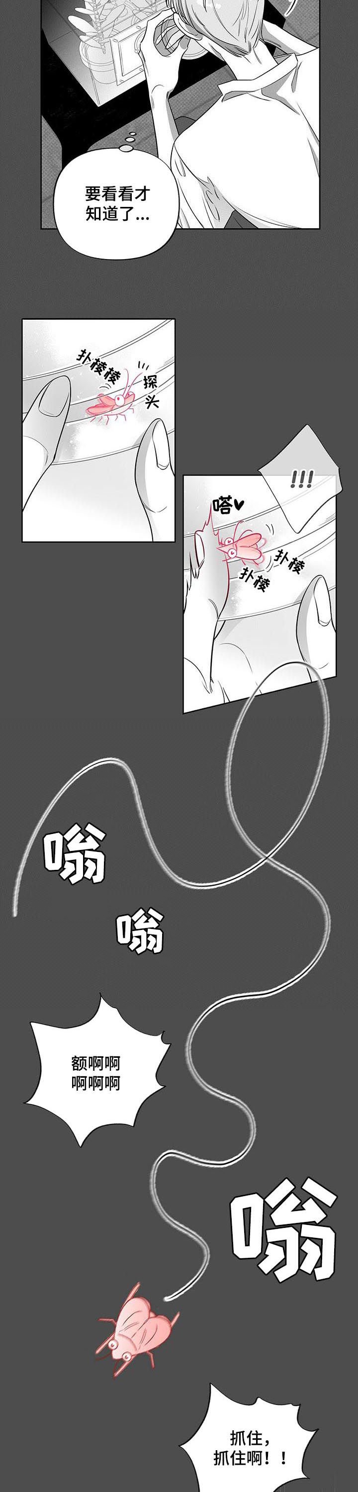 第40章：试验