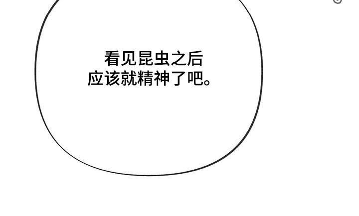 第47章：实地实习