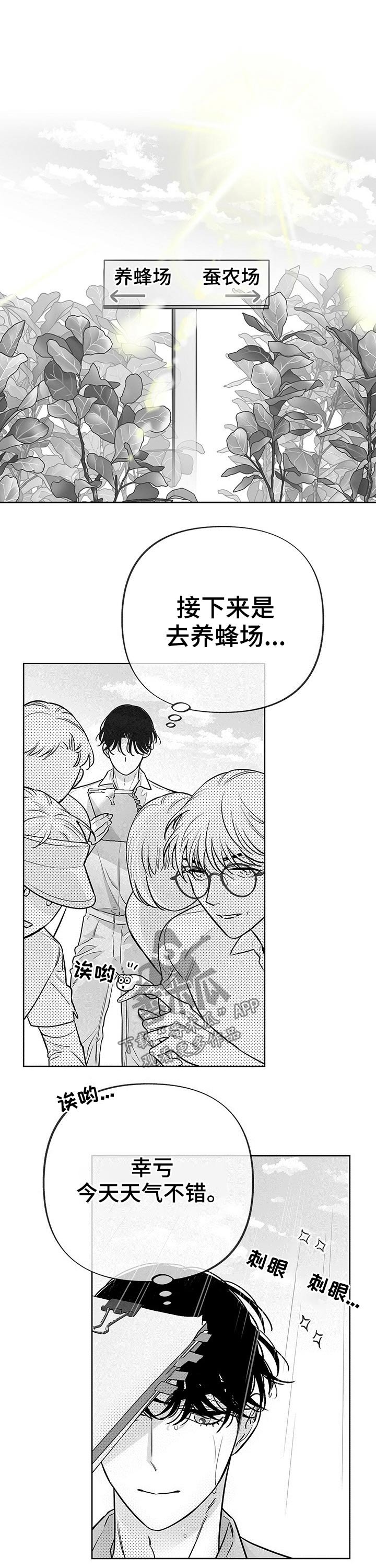 第48章：实践