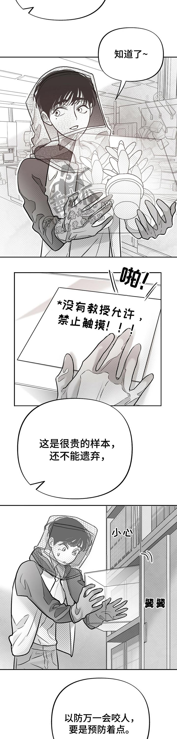第53章：教授
