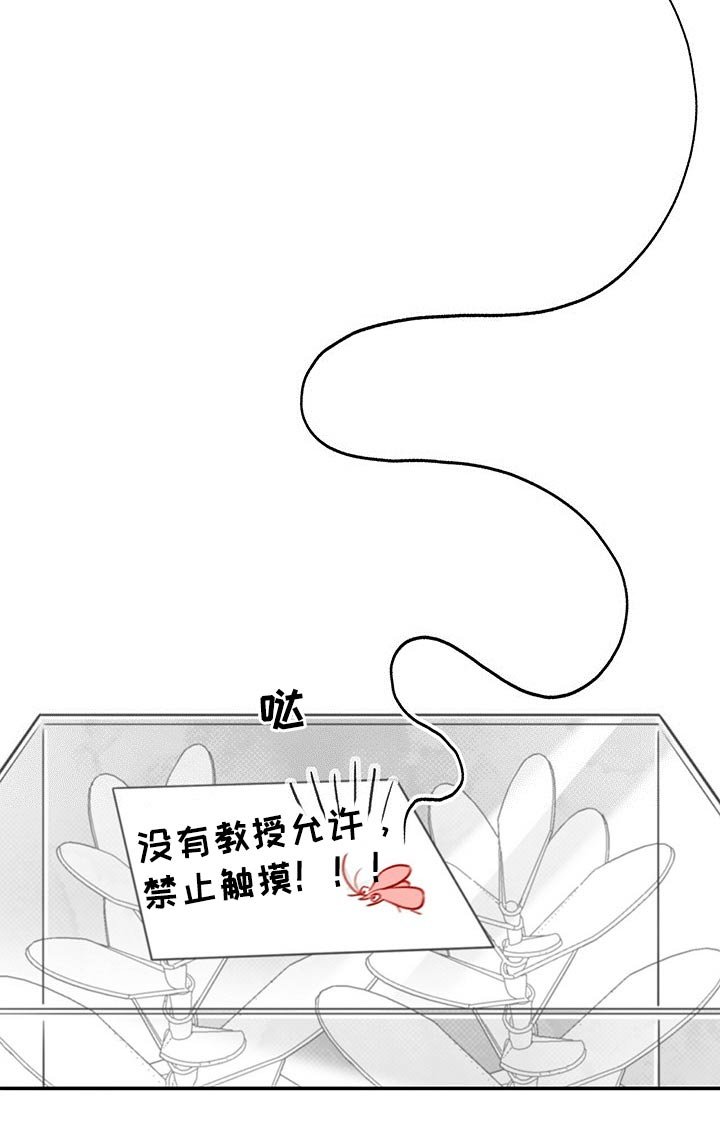 第53章：教授