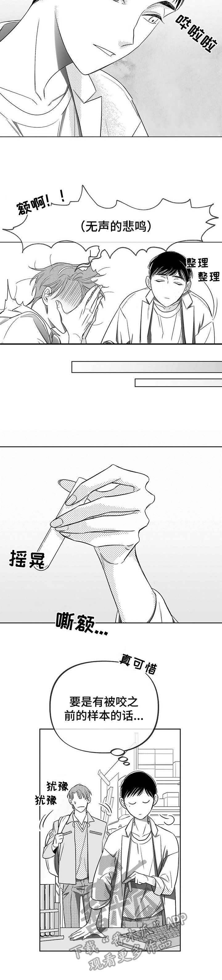 第6章：悲喜交加