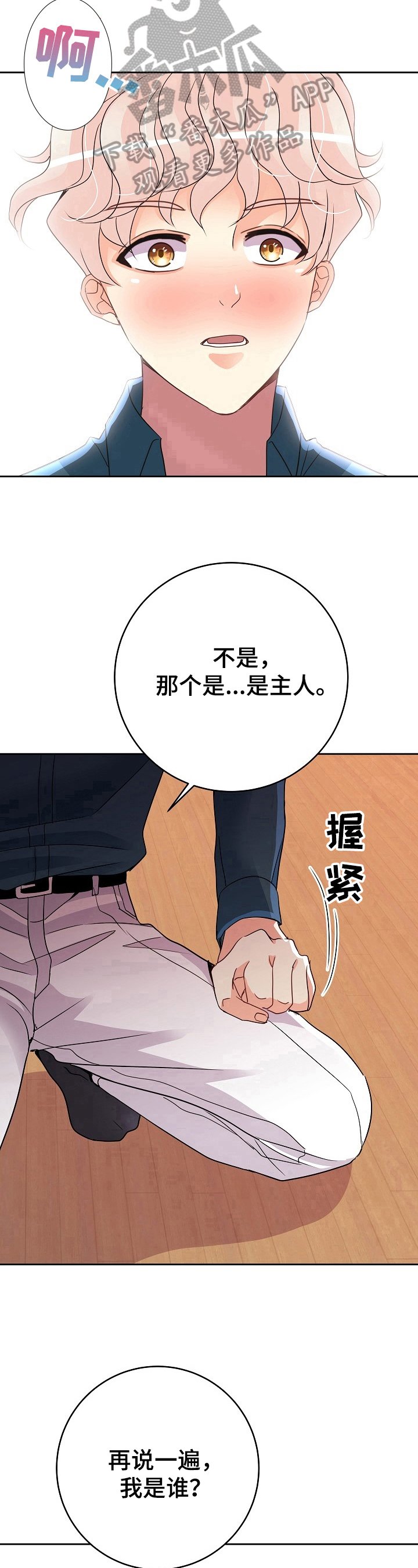第11章：主人