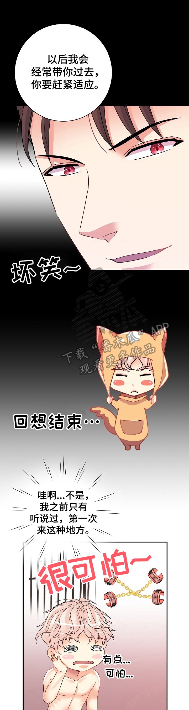 第17章：全用上