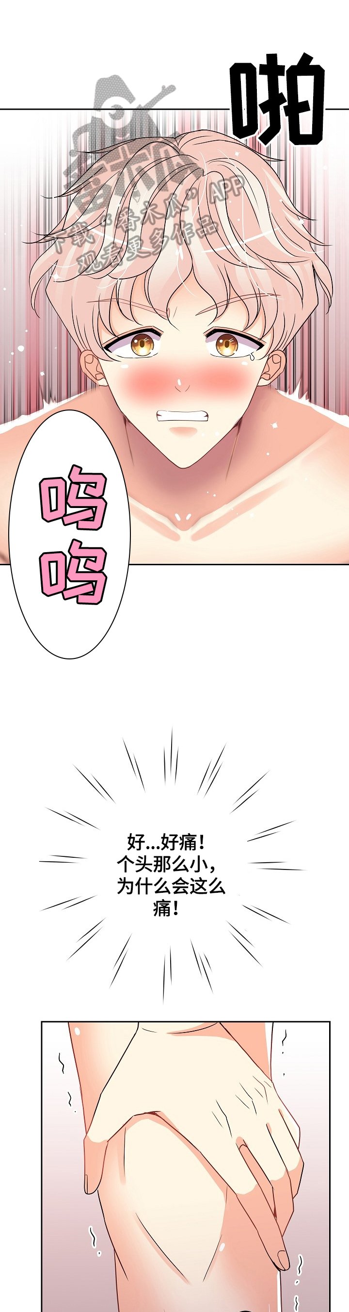 第19章：安慰