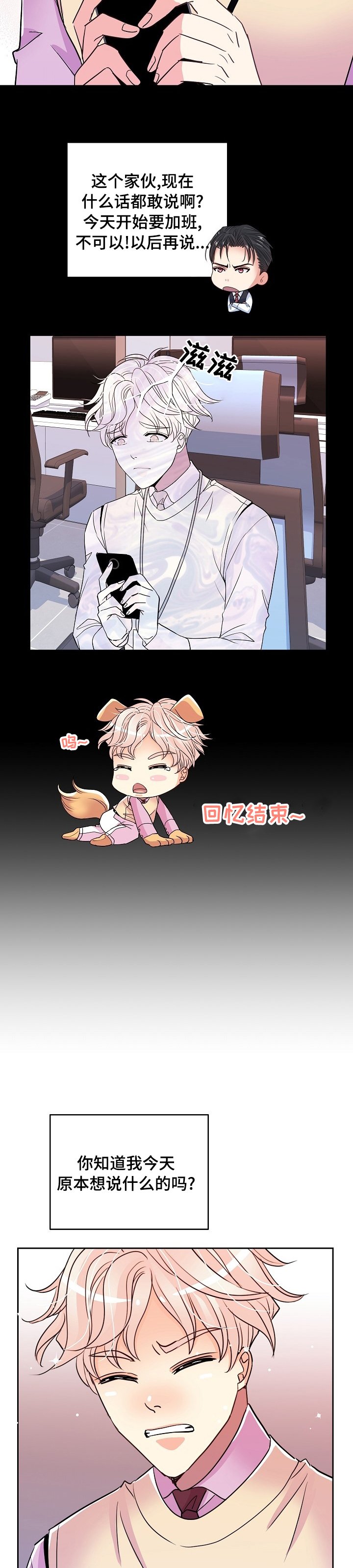 第55章：车混蛋
