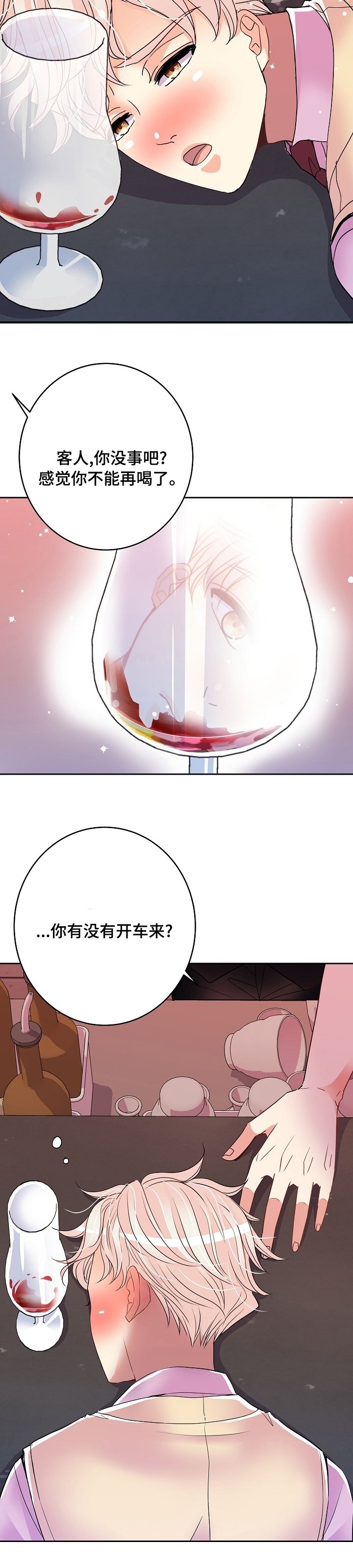第55章：车混蛋