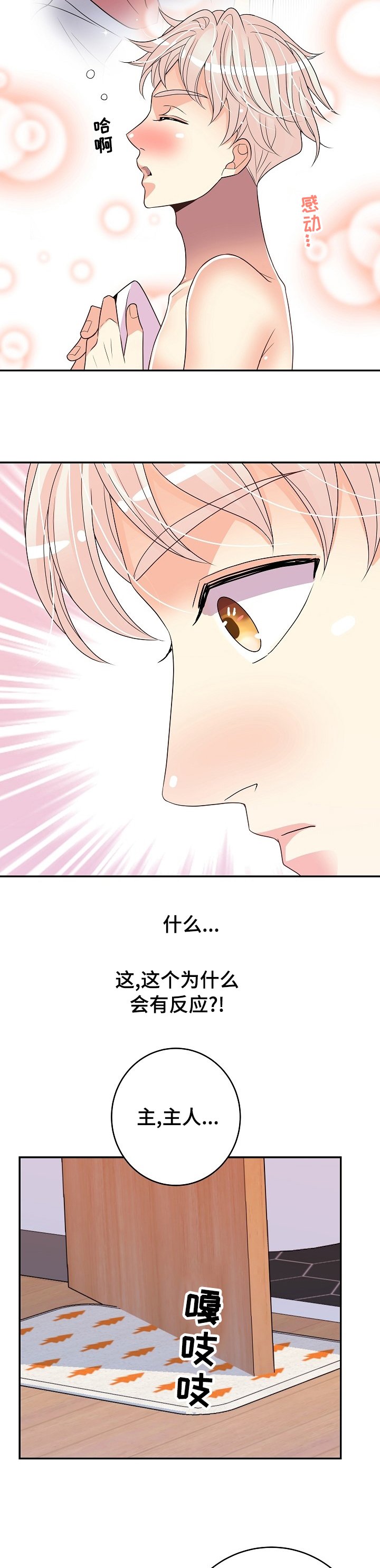 第62章：奖励