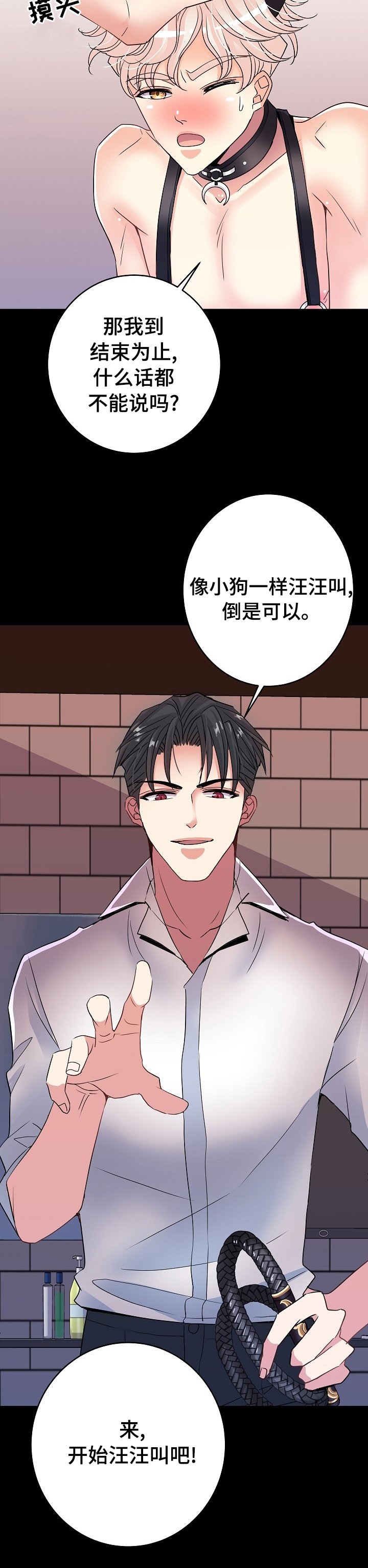 第63章：小狗