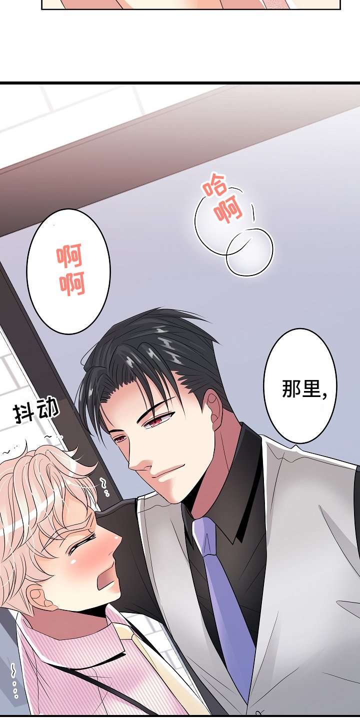 第65章：回去工作