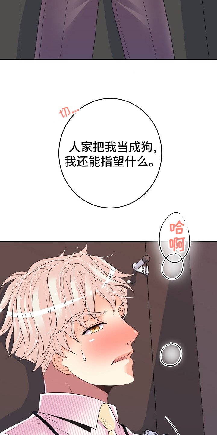 第65章：回去工作