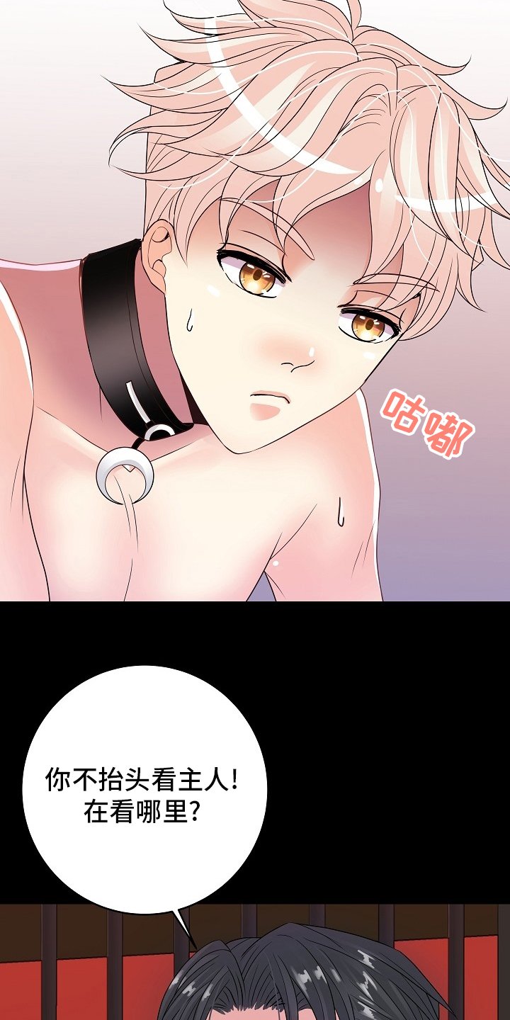 第68章：判若两人