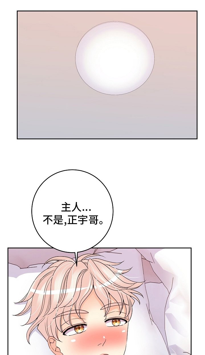第71章：【完结】努力去爱你