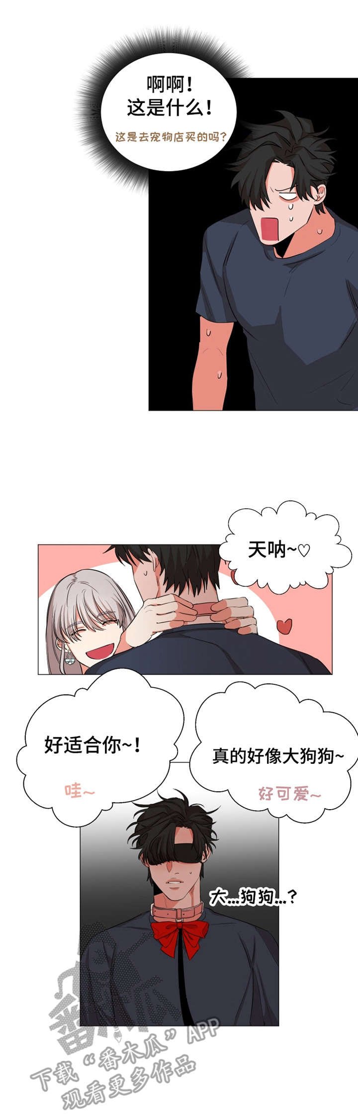 第13章：看电影