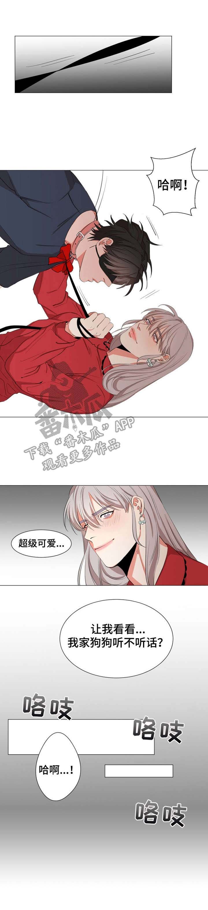 第13章：看电影