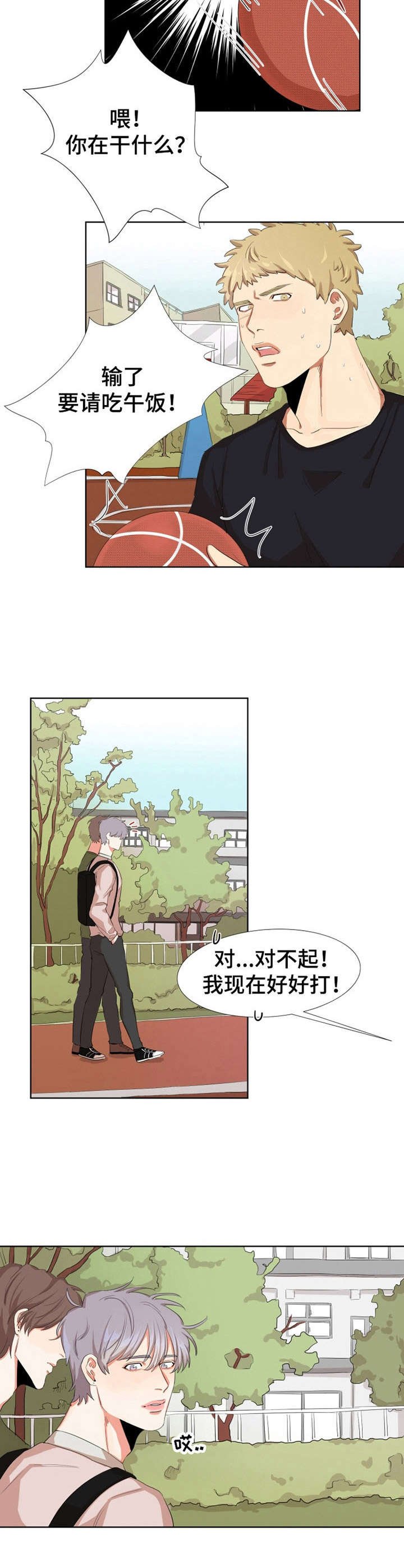 第3章：肌肉