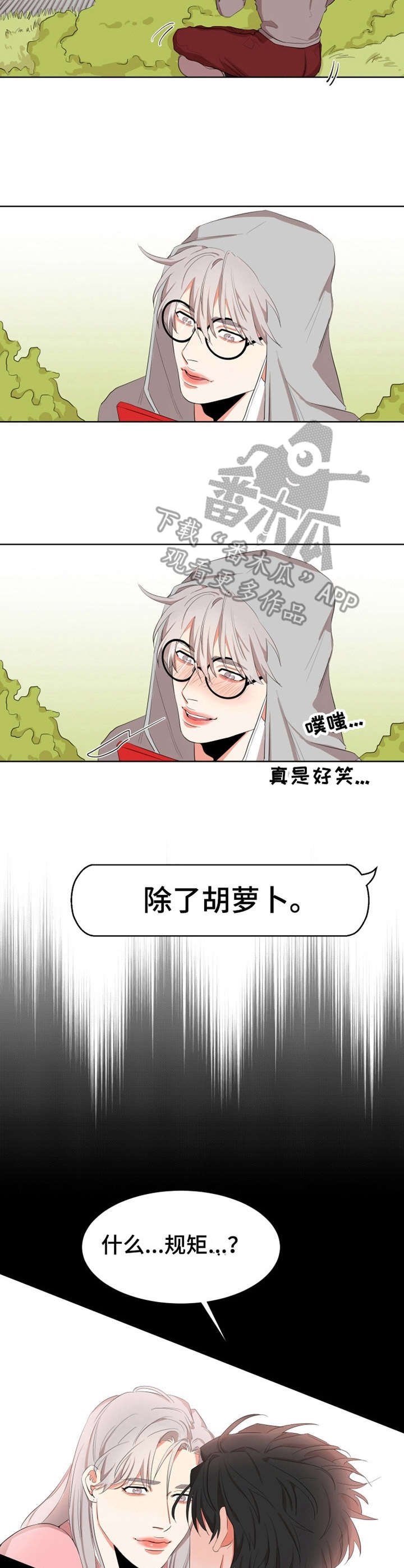第7章：条件