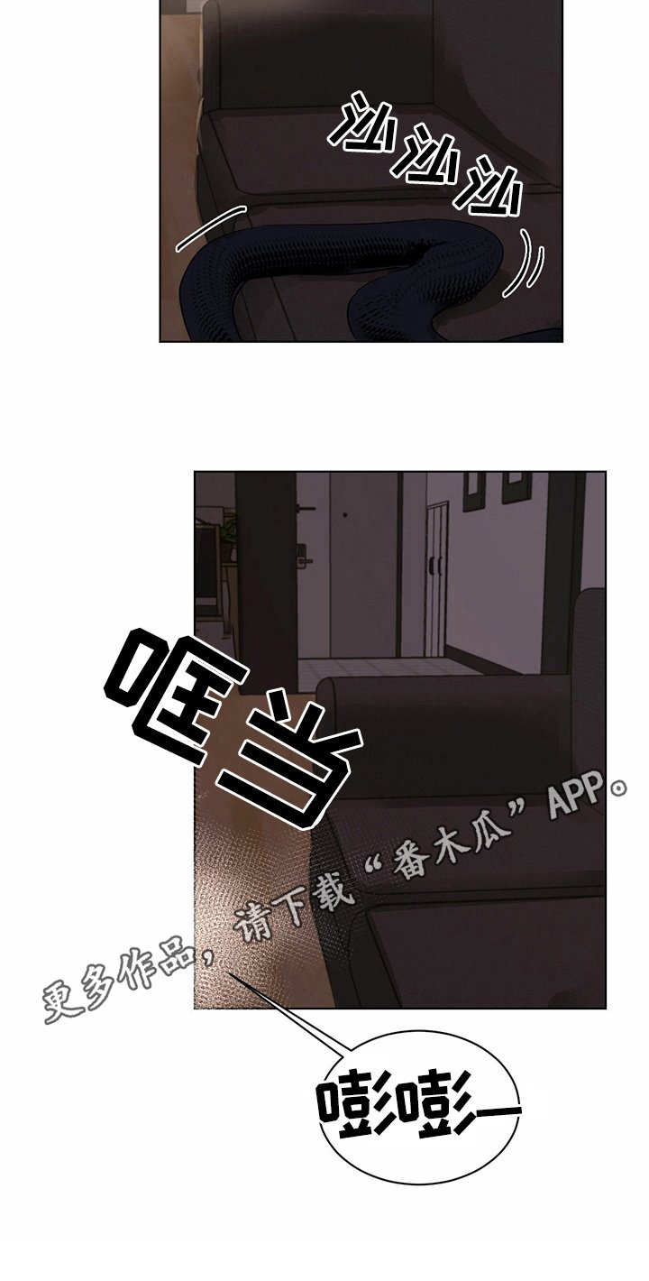 第11章：买食物