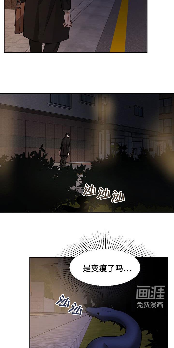 第113章：【第二季】现身