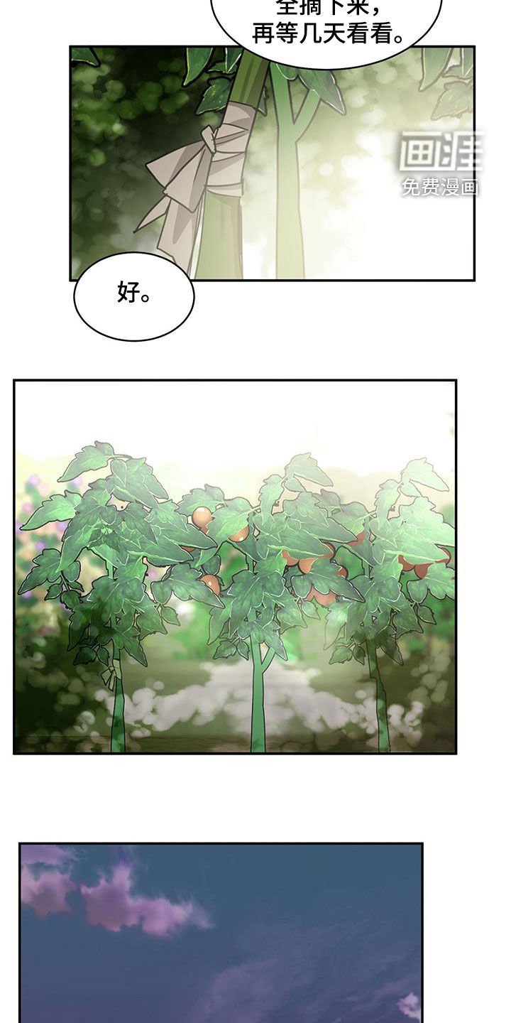 第123章：【第二季】石头