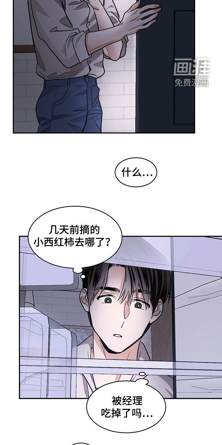 第123章：【第二季】石头