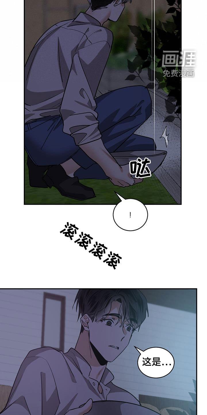 第123章：【第二季】石头