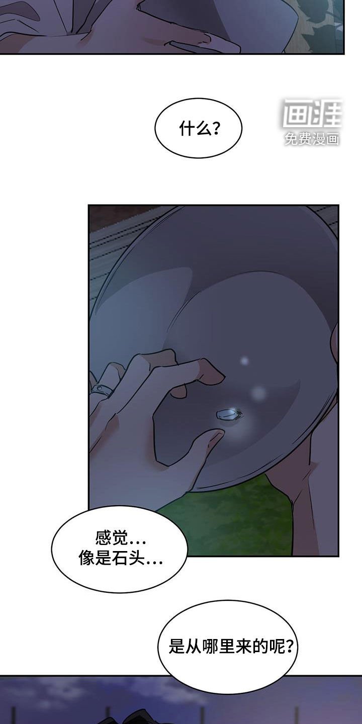 第123章：【第二季】石头