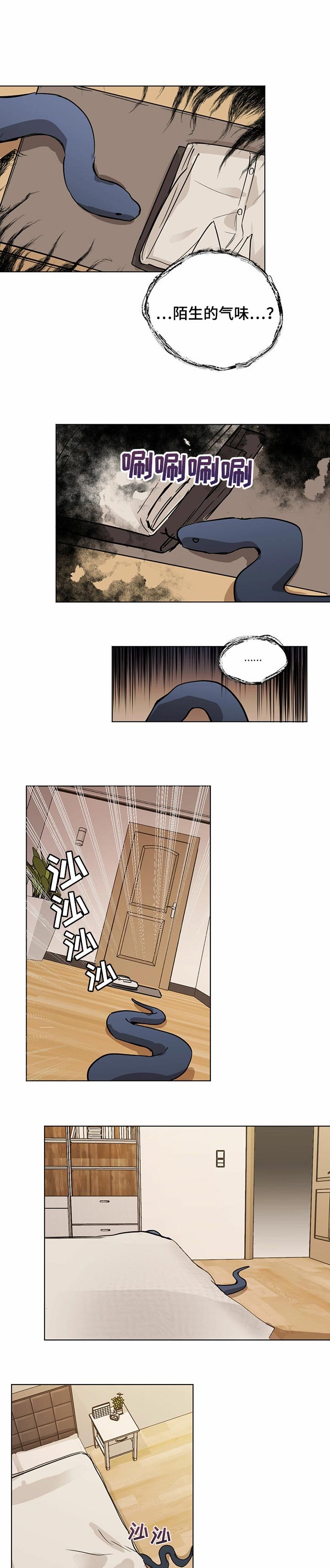 第14章：陌生的气味