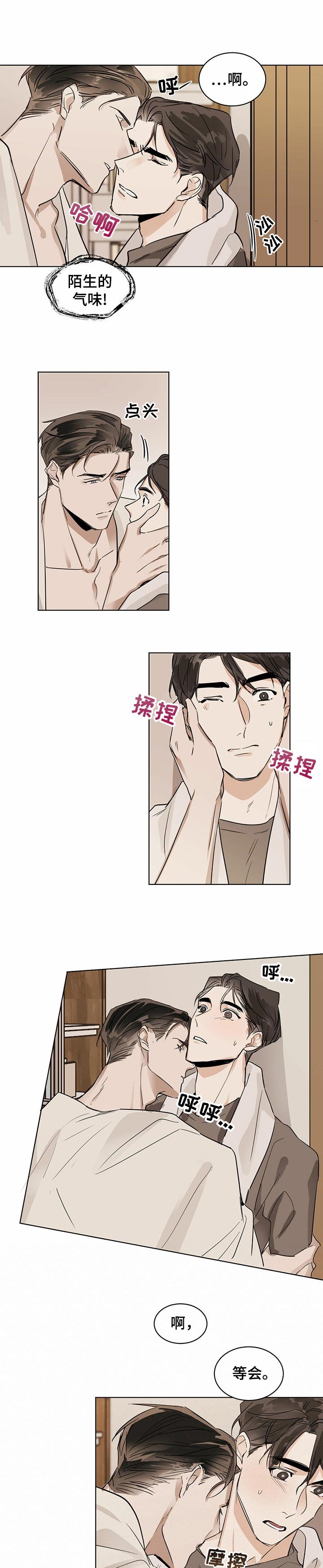 第15章：松鼠