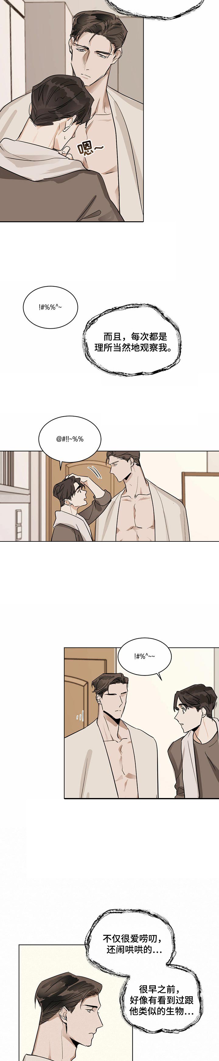 第15章：松鼠