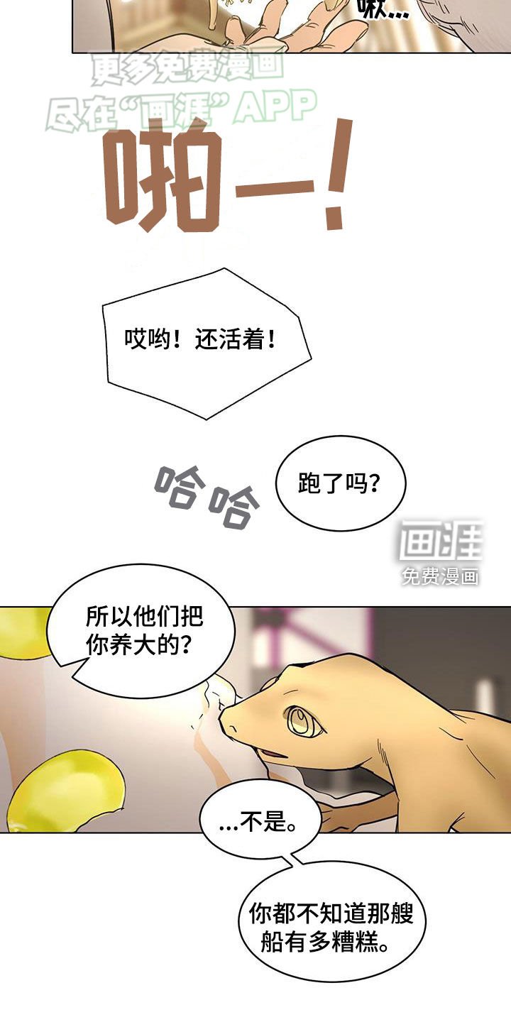 第162章：【番外】你是谁