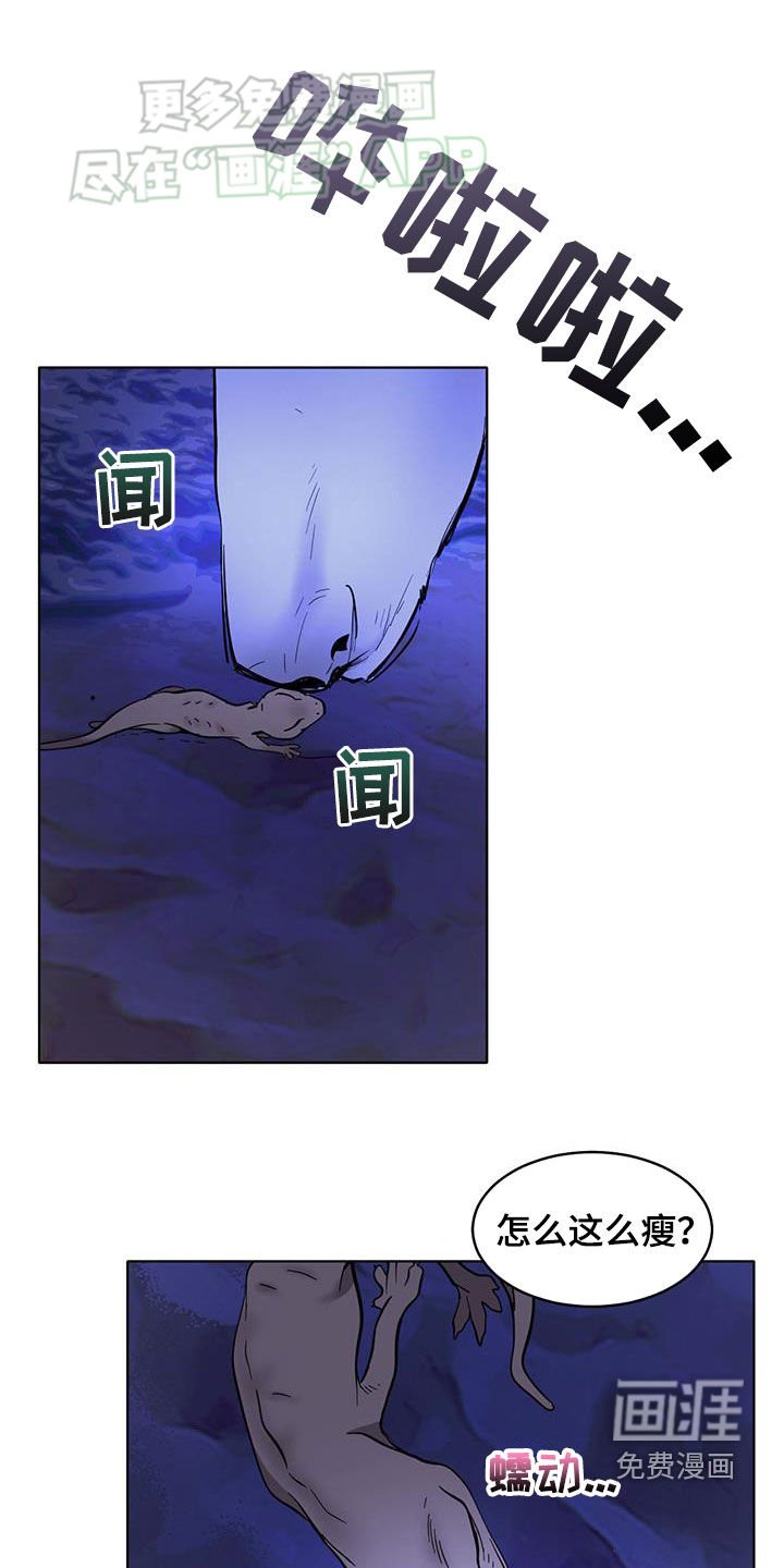 第163章：【番外】被保护