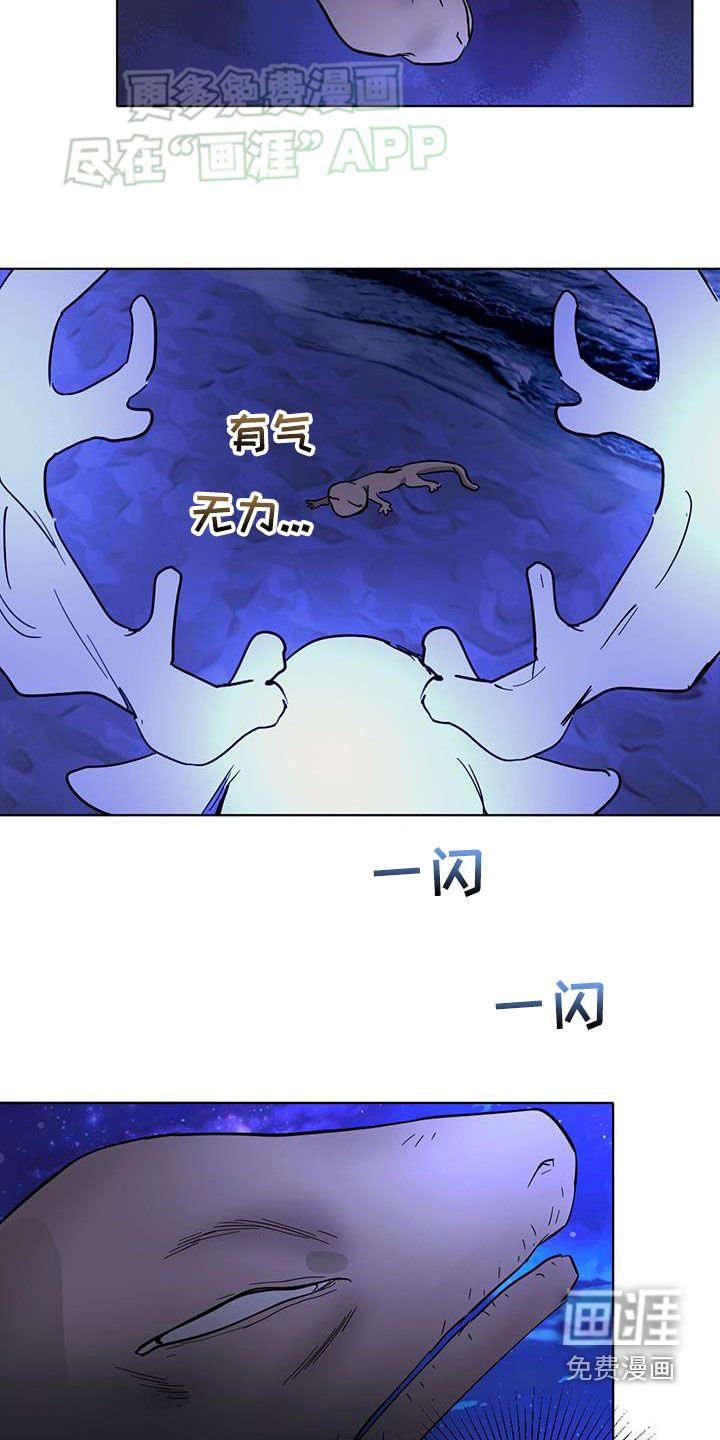 第163章：【番外】被保护