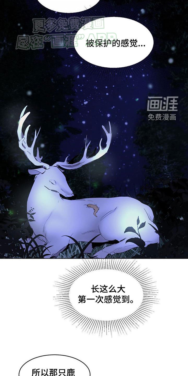 第163章：【番外】被保护