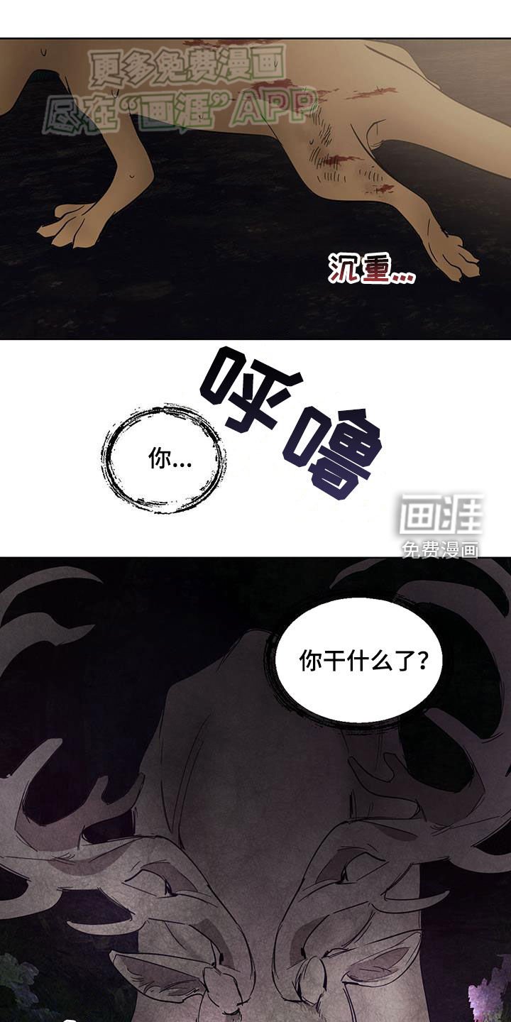 第164章：【番外】很有天赋