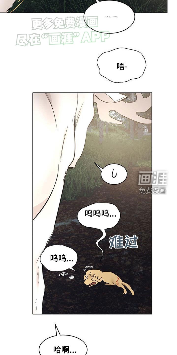 第164章：【番外】很有天赋