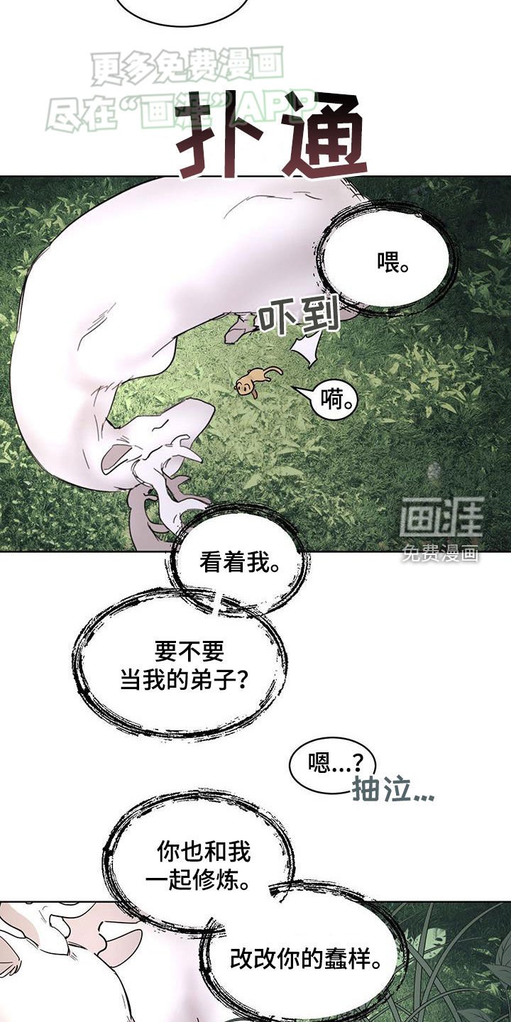 第164章：【番外】很有天赋