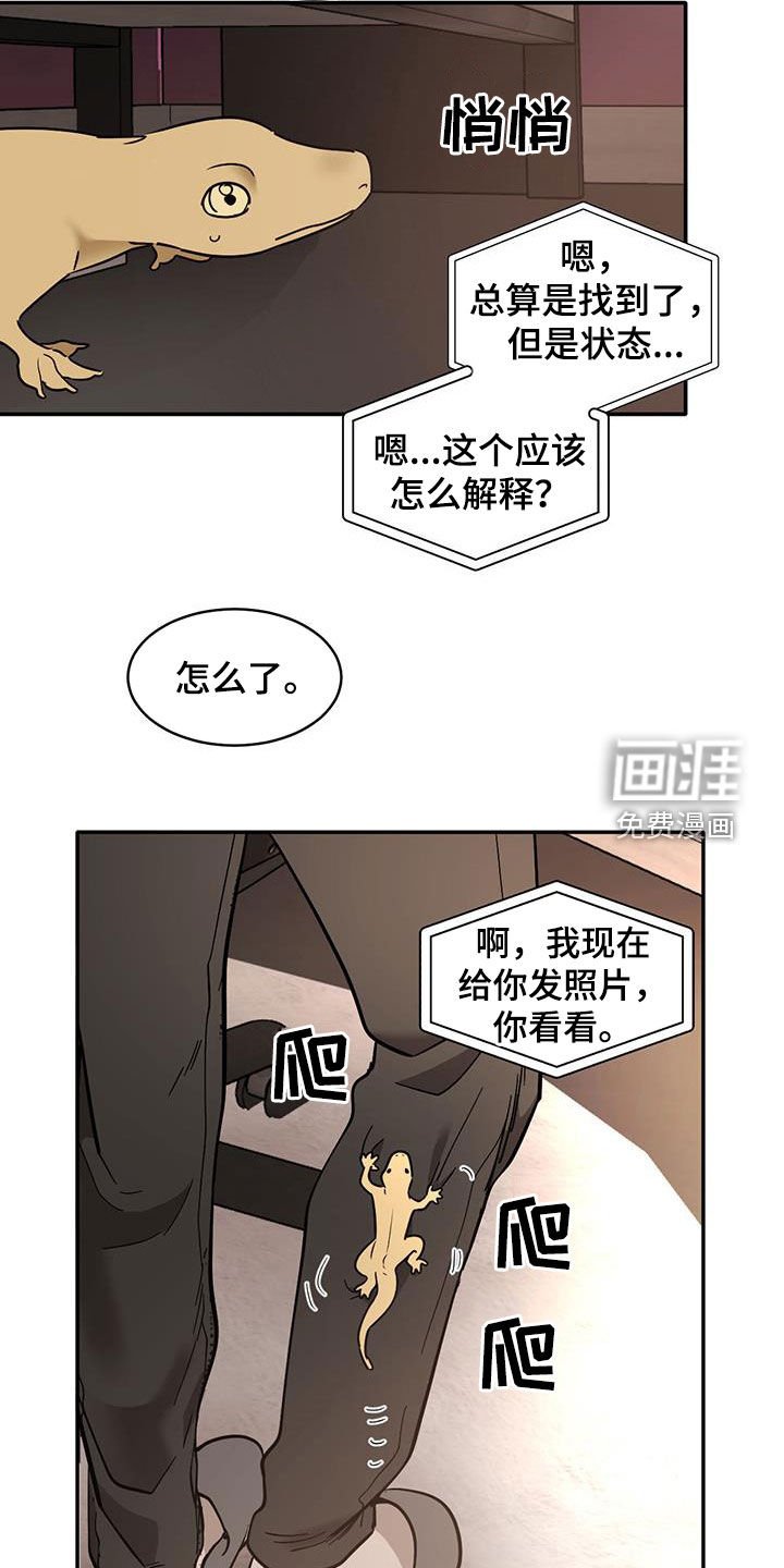 第165章：【番外】电话