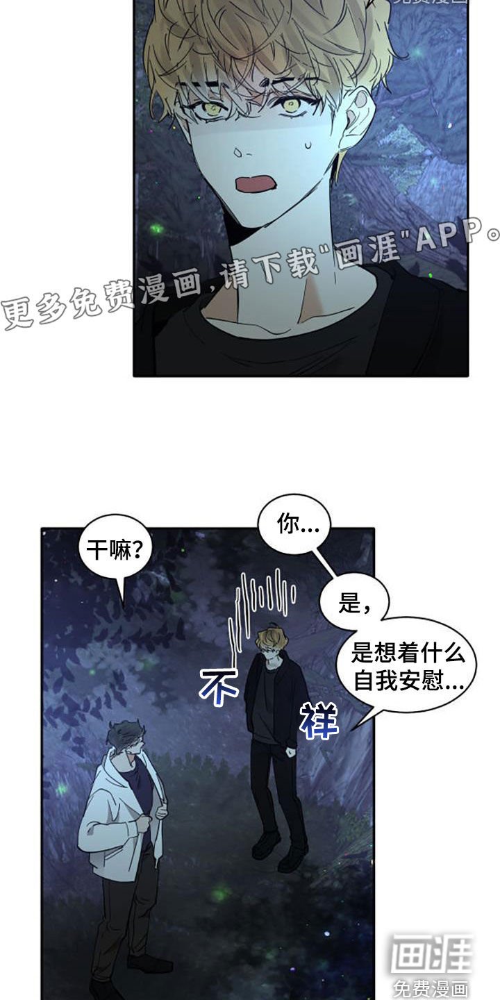 第173章：【番外】很喜欢你