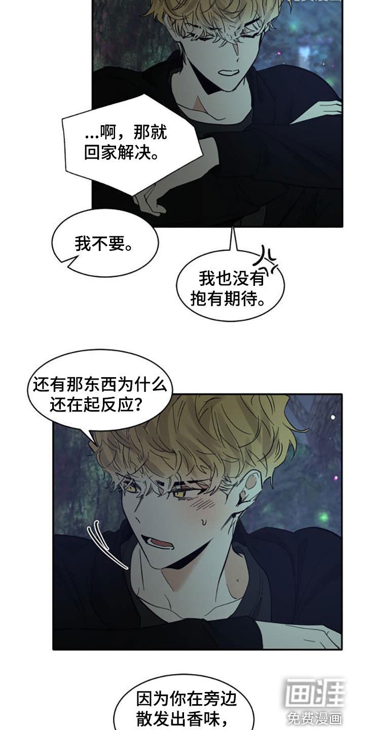 第173章：【番外】很喜欢你