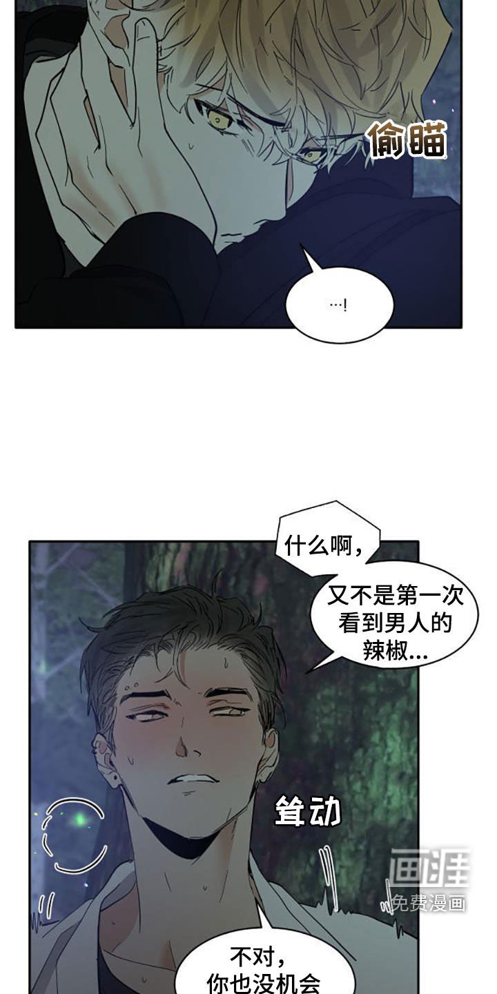 第173章：【番外】很喜欢你
