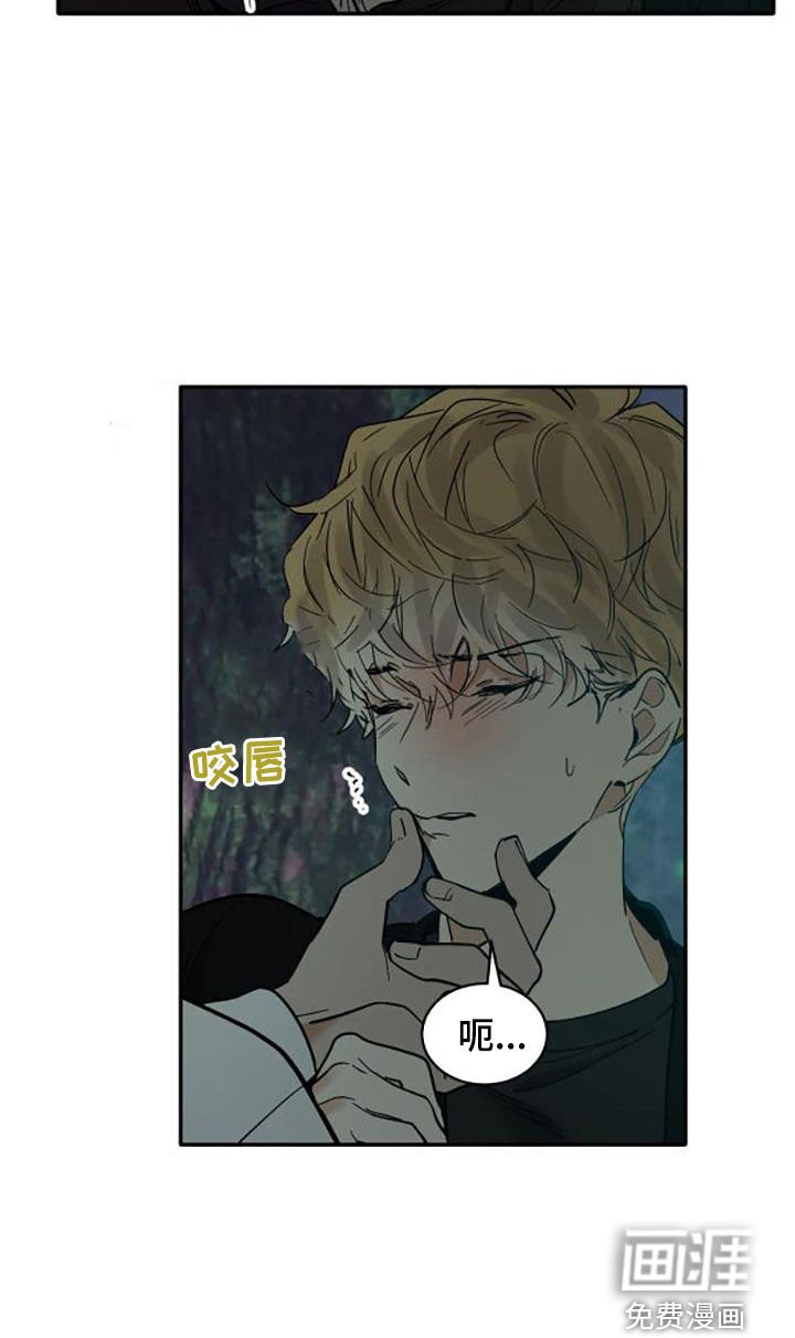 第173章：【番外】很喜欢你