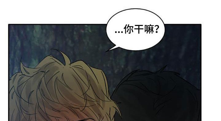 第173章：【番外】很喜欢你