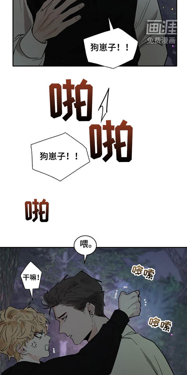 第173章：【番外】很喜欢你