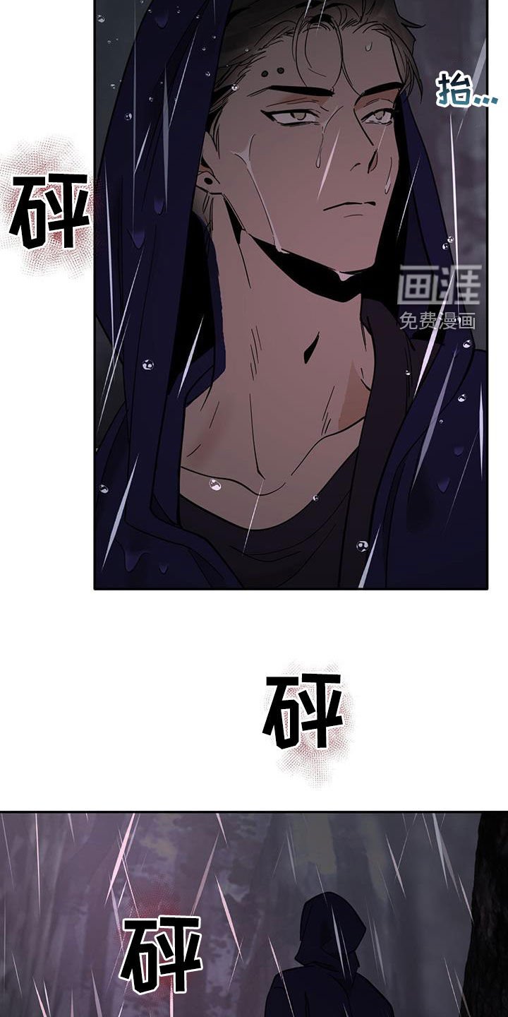 第175章：【番外】就是我儿子