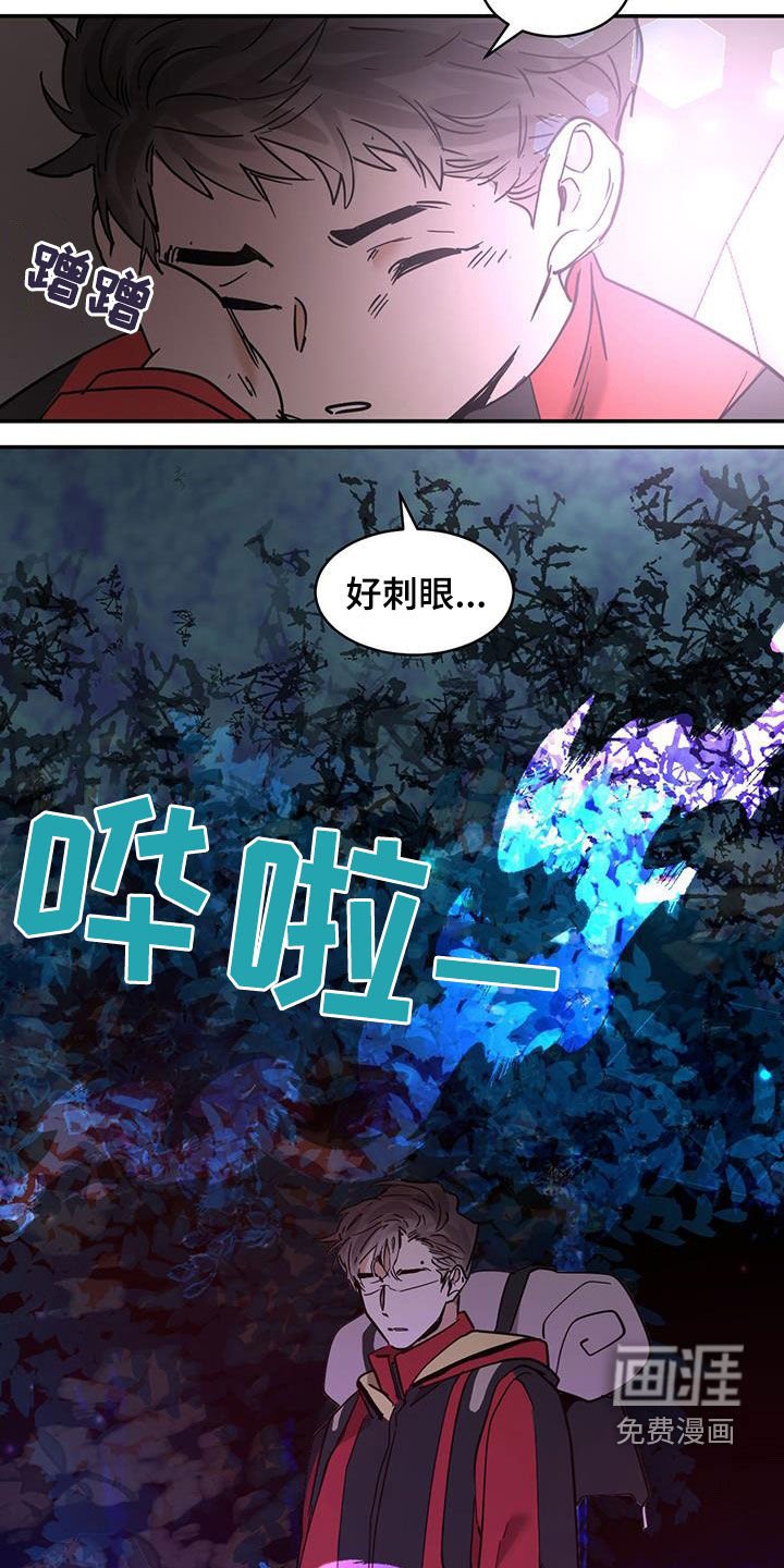 第177章：【番外】不是你的错